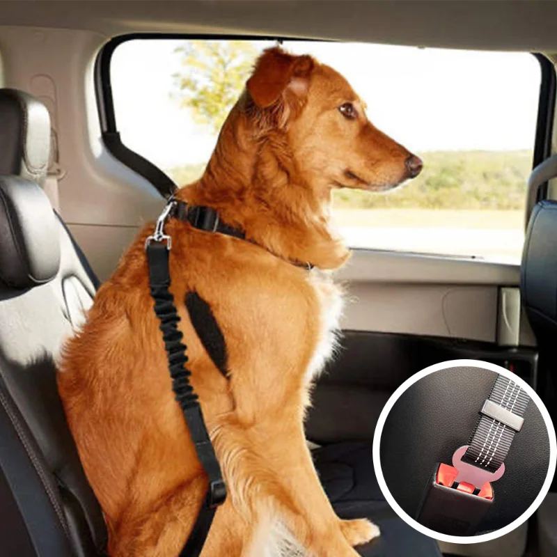 Car Pet Dog Seat Belt Elastic Reflective Detachable No Pull French Bulldog Accessories Large Medium Small Pet Leash Harness
Car Pet Dog Seat Belt Elastic Reflective Detachable No Pull French Bulldog Accessories Large Medium Small Pet Leash Harness