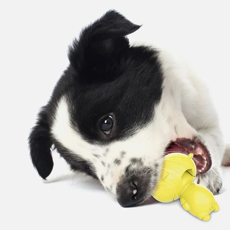 Резиновая игрушка для домашних животных детские игрушки со свинками для домашних животных укус собаки игрушки интерактивные молярная зубы...
Резиновая игрушка для домашних животных детские игрушки со свинками для домашних животных укус собаки игрушки интерактивные молярная зубы...