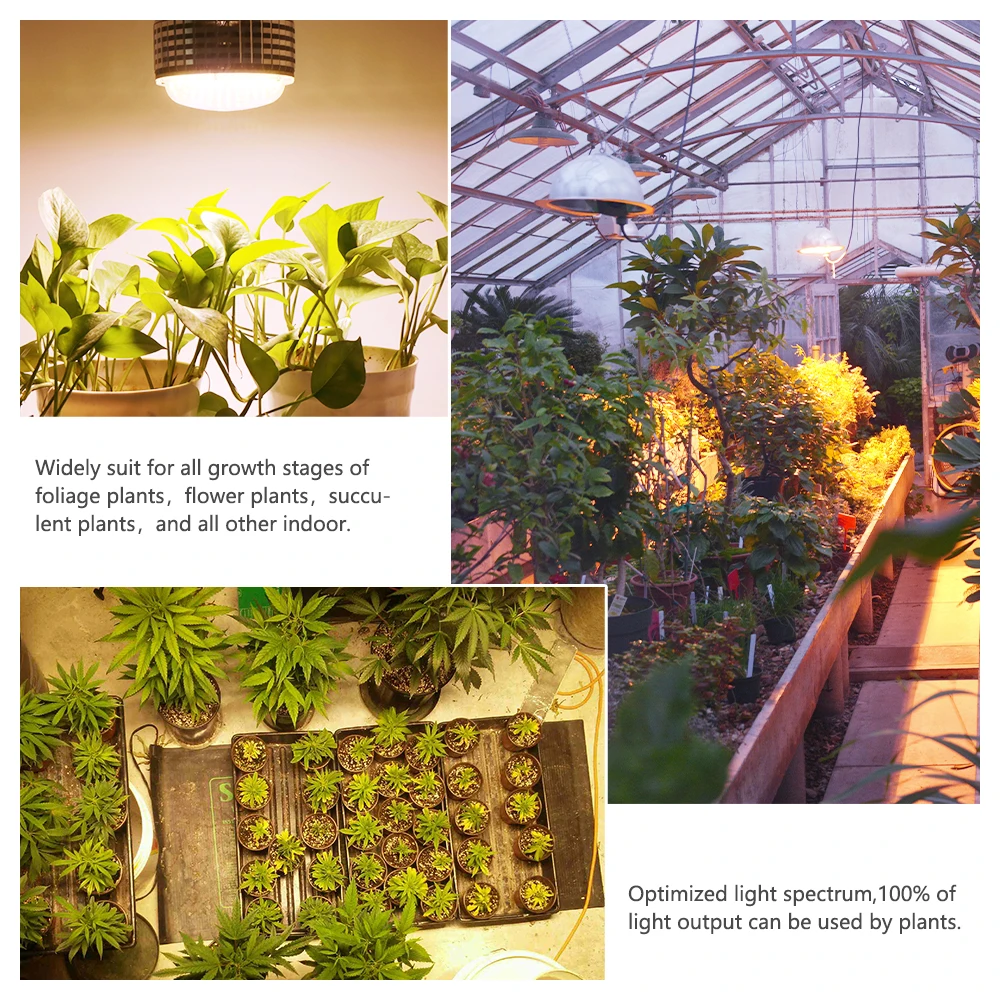 300W 150W 100W E27 Full Spectrum Led Grow Lights For Hydroponics Cultivation Flowers Medical Indoor Plants Grow Tent Lighting
300W 150W 100W E27 Full Spectrum Led Grow Lights For Hydroponics Cultivation Flowers Medical Indoor Plants Grow Tent Lighting