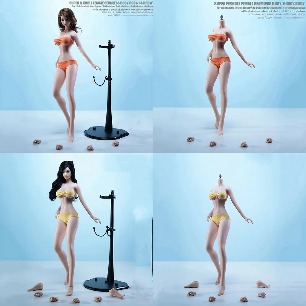 Новая модель S40 S40A S41 S41A 1/6 в масштабе 12 дюймов бледная кожа тела с супер гибкими длинными ногами большой грудью узкими плечами 
Новая модель S40 S40A S41 S41A 1/6 в масштабе 12 дюймов бледная кожа тела с супер гибкими длинными ногами большой грудью узкими плечами