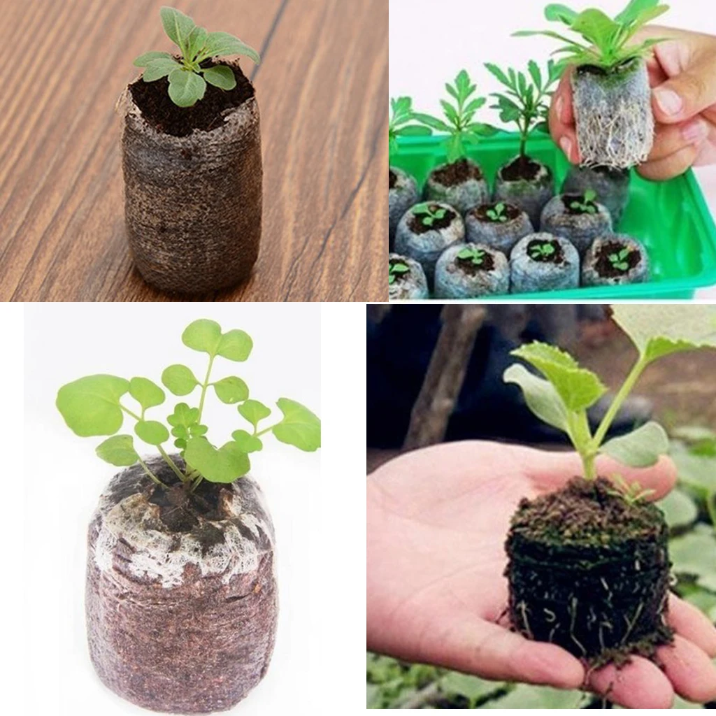 10 Pieces Pellets Seeds Starting Plugs: Indoor Seed Starter- Start Planting Indoors for Transplanting to Garden or Planter Pot
10 Pieces Pellets Seeds Starting Plugs: Indoor Seed Starter- Start Planting Indoors for Transplanting to Garden or Planter Pot