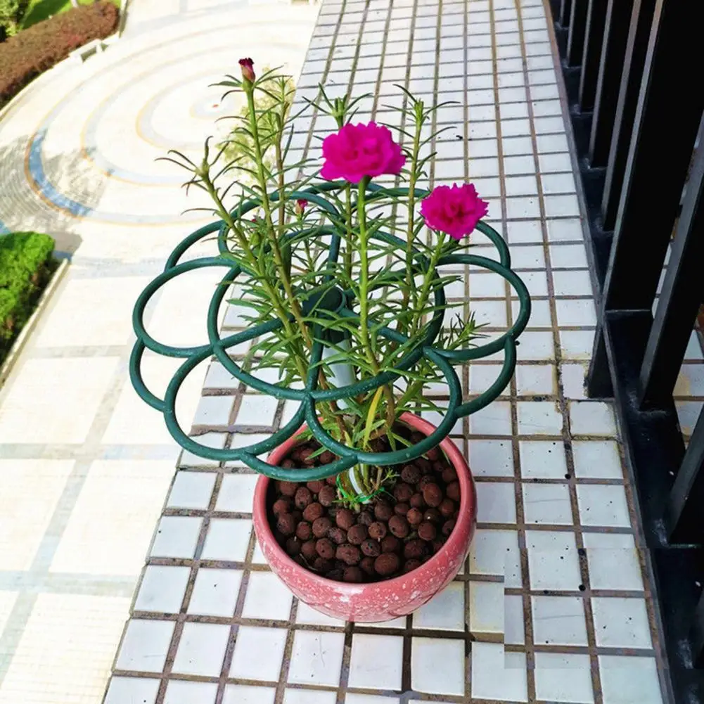 Attractive Flower Support Ring Sturdy Portable Plant Stake Cute Sunflower Shape Flower Stake
Attractive Flower Support Ring Sturdy Portable Plant Stake Cute Sunflower Shape Flower Stake