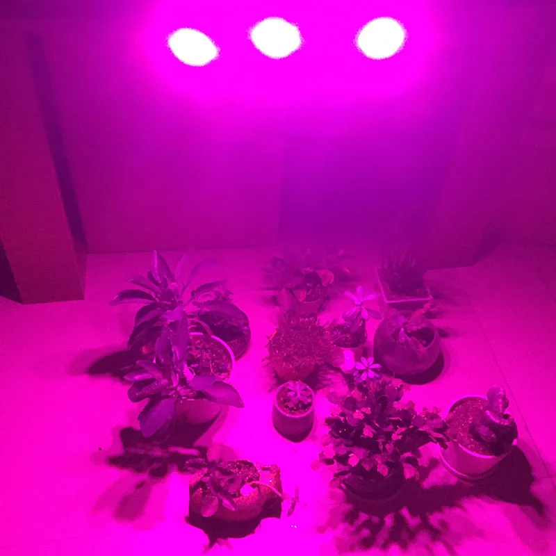 2/3 Head 80 LED Plant Grow Light phyto Lamps Fitolamp Indoor Greenhouse flower Growbox tent growing lighting For Hydro Growbox
2/3 Head 80 LED Plant Grow Light phyto Lamps Fitolamp Indoor Greenhouse flower Growbox tent growing lighting For Hydro Growbox