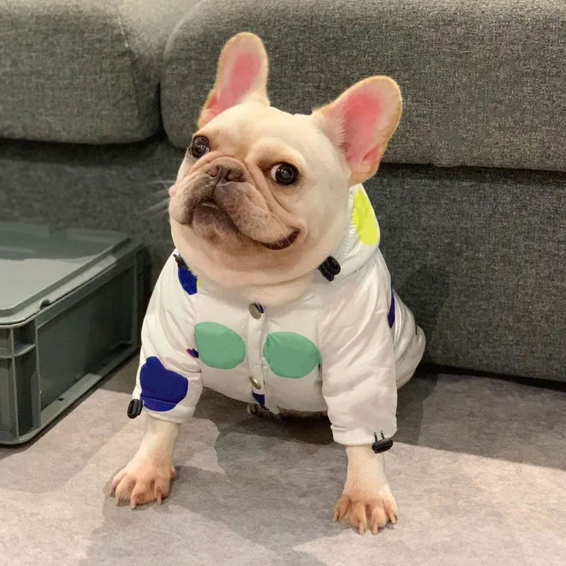 Cotton Dog Down Coat Windproof Dog Clothes Winter Warm Dog Down Jacket French Bulldog Clothing Designer Yorkie Costumes A134
Cotton Dog Down Coat Windproof Dog Clothes Winter Warm Dog Down Jacket French Bulldog Clothing Designer Yorkie Costumes A134