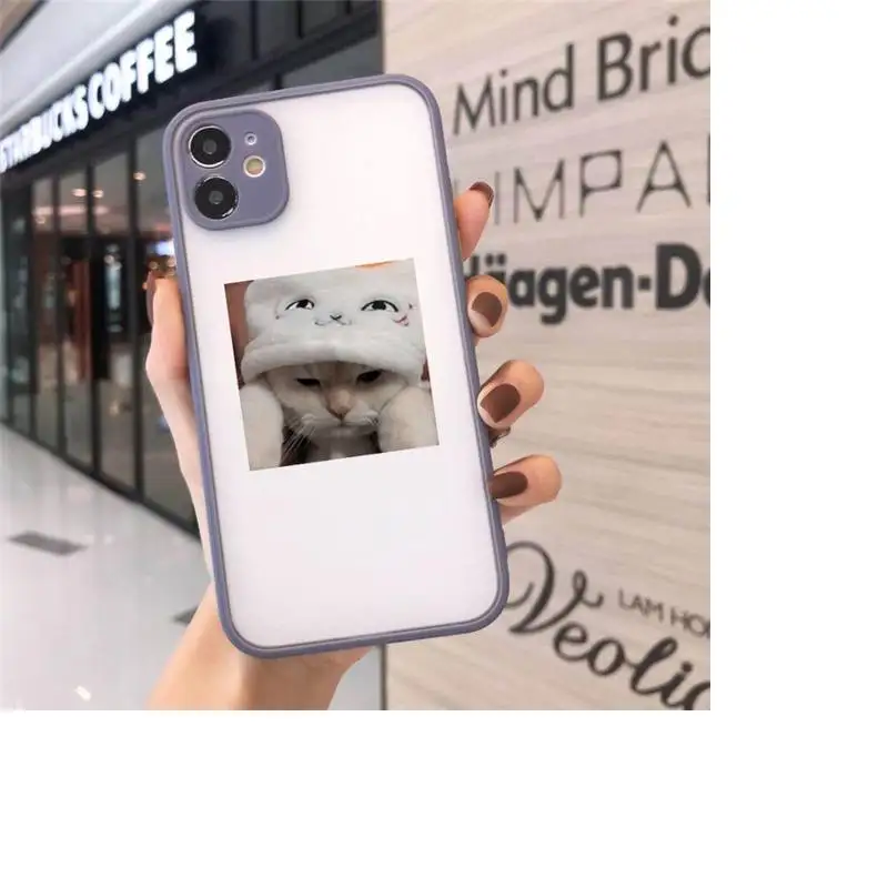 Phone Case For iPhone 12 11 Mini Pro XR XS Max 7 8 Plus X Cute Cats New Year Gifts Matte transparent Gray Cover
Phone Case For iPhone 12 11 Mini Pro XR XS Max 7 8 Plus X Cute Cats New Year Gifts Matte transparent Gray Cover