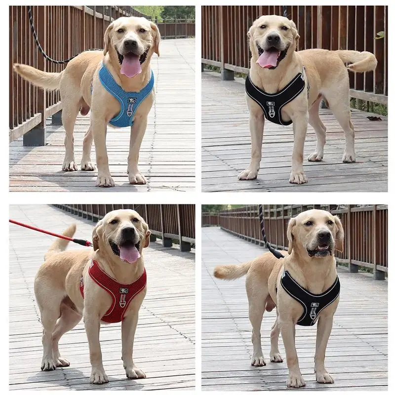 1 Piece Dog Harnesses Leash Breathable Comfortable Dog Anti-Lost Harness Leash Outdoor Puppy Walking Leash Pet Dogs Supplies
1 Piece Dog Harnesses Leash Breathable Comfortable Dog Anti-Lost Harness Leash Outdoor Puppy Walking Leash Pet Dogs Supplies