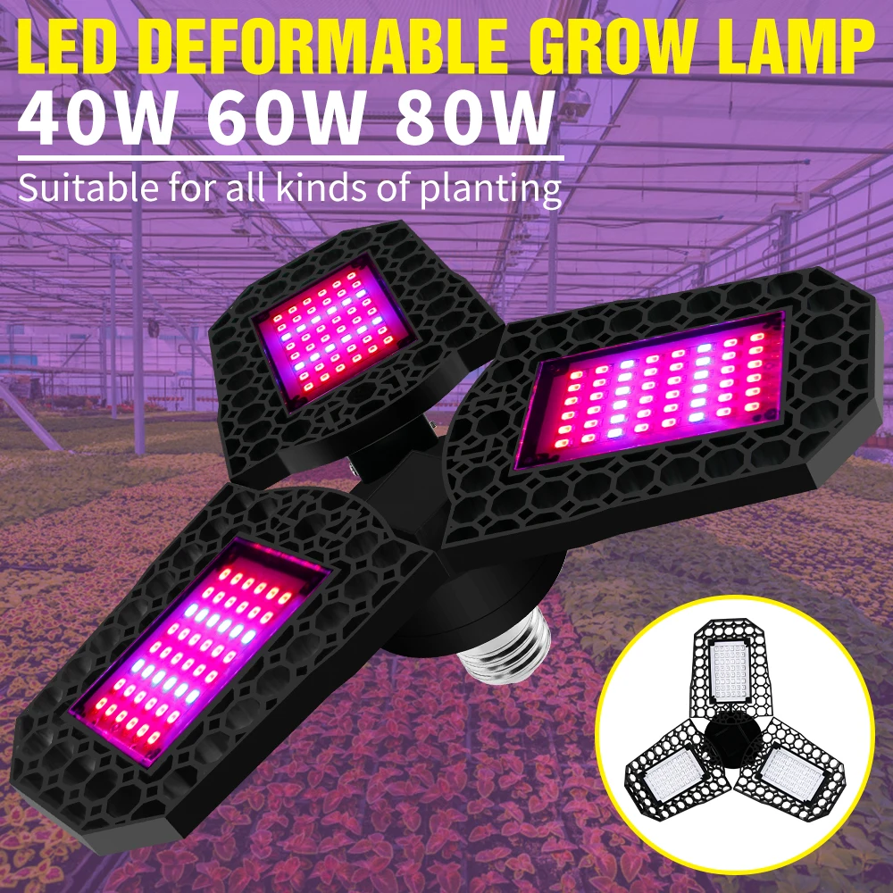 220V LED Grow Bulb E27 Full Spectrum LED Light E26 Plant Lamp 40W 60W 80W Fito Lamps Greenhouse Hydroponic Seed Growth Lighting
220V LED Grow Bulb E27 Full Spectrum LED Light E26 Plant Lamp 40W 60W 80W Fito Lamps Greenhouse Hydroponic Seed Growth Lighting