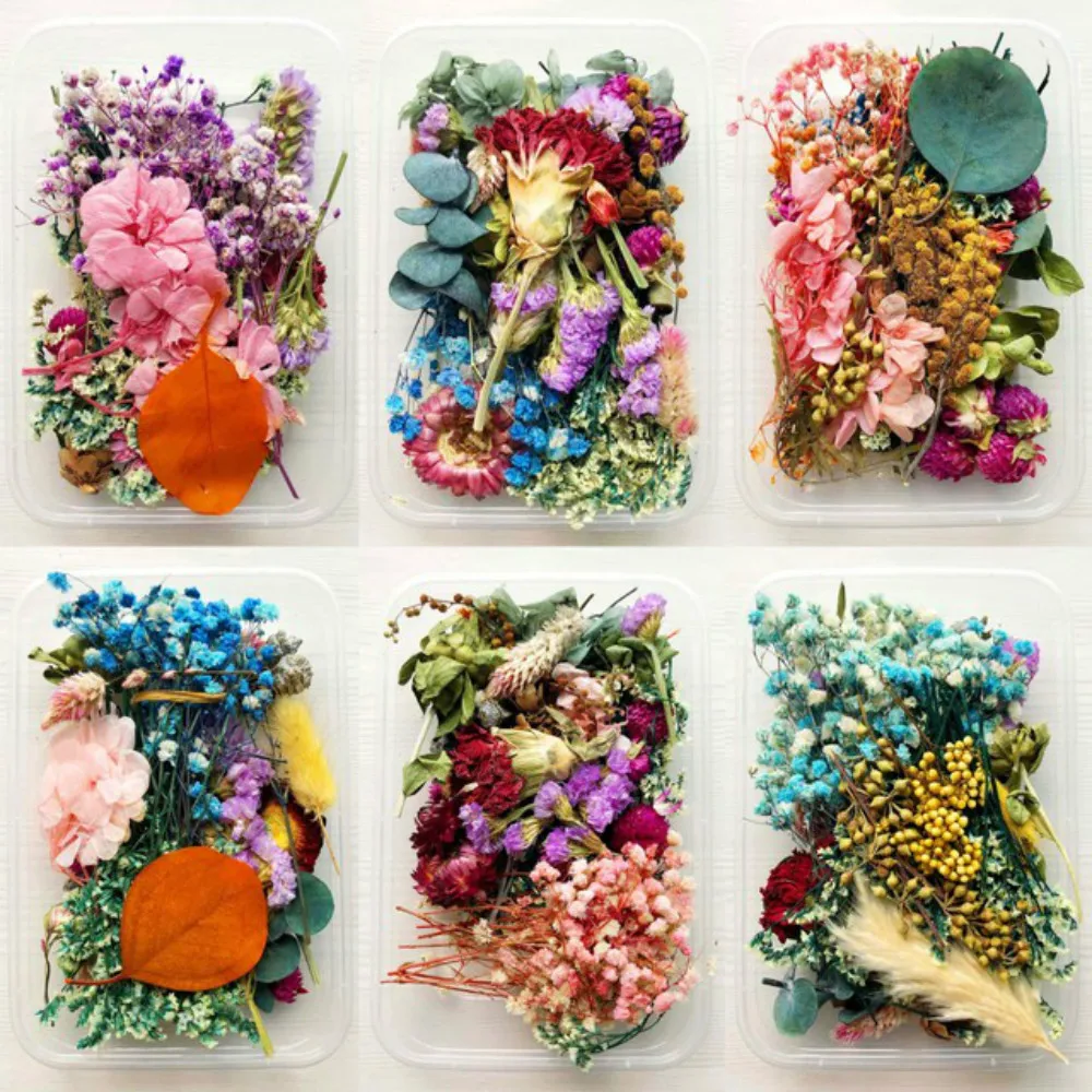 Dried Flower Scattered Natural For Making Greeting Card Craft Necklace Jewelry Candle Epoxy Handcraft Accessories
Dried Flower Scattered Natural For Making Greeting Card Craft Necklace Jewelry Candle Epoxy Handcraft Accessories