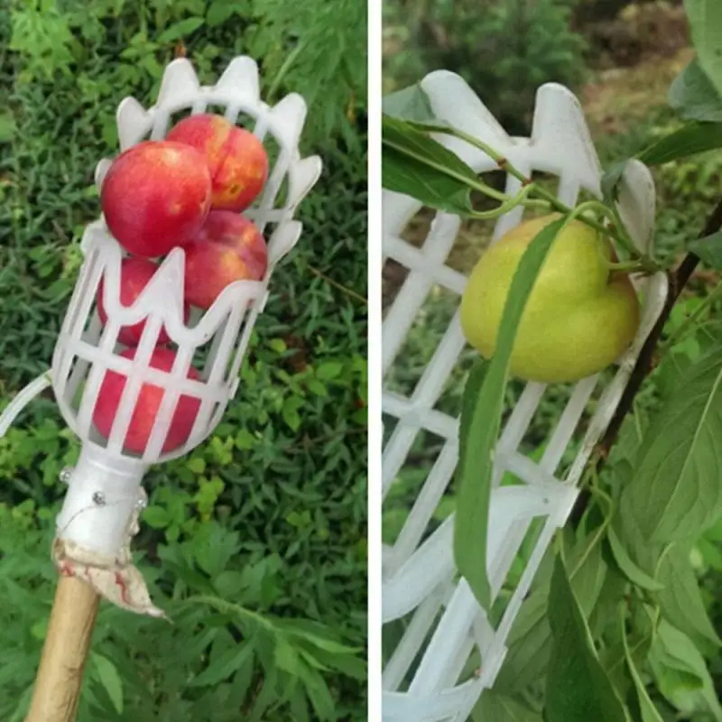 2021 Orchard Fruit Picker Catcher Fruit Picking Tool Gardening Farm Garden Hardware Picking Device Garden Greenhouses Tool
2021 Orchard Fruit Picker Catcher Fruit Picking Tool Gardening Farm Garden Hardware Picking Device Garden Greenhouses Tool