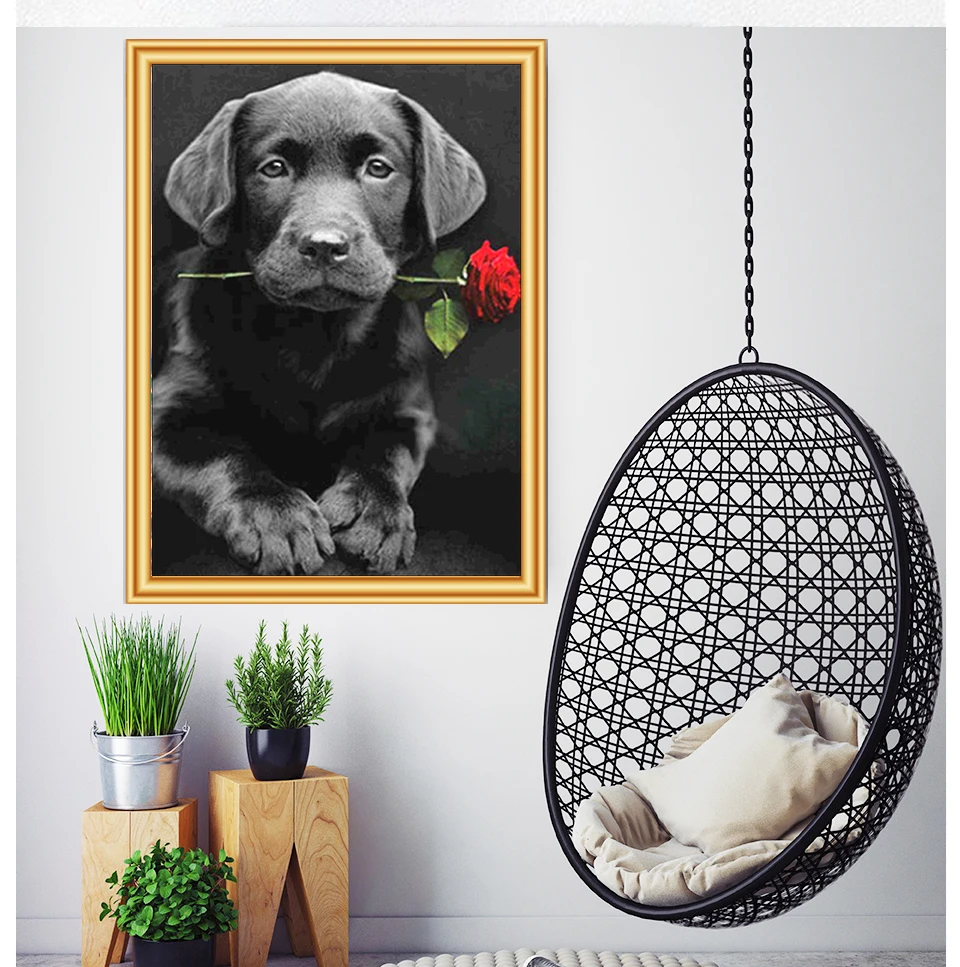 5D DIY Diamond Painting Animal Puppy Rose Flower Round Diamond Embroidery Home Decor Mosaic Handmade Art Set Gift
5D DIY Diamond Painting Animal Puppy Rose Flower Round Diamond Embroidery Home Decor Mosaic Handmade Art Set Gift