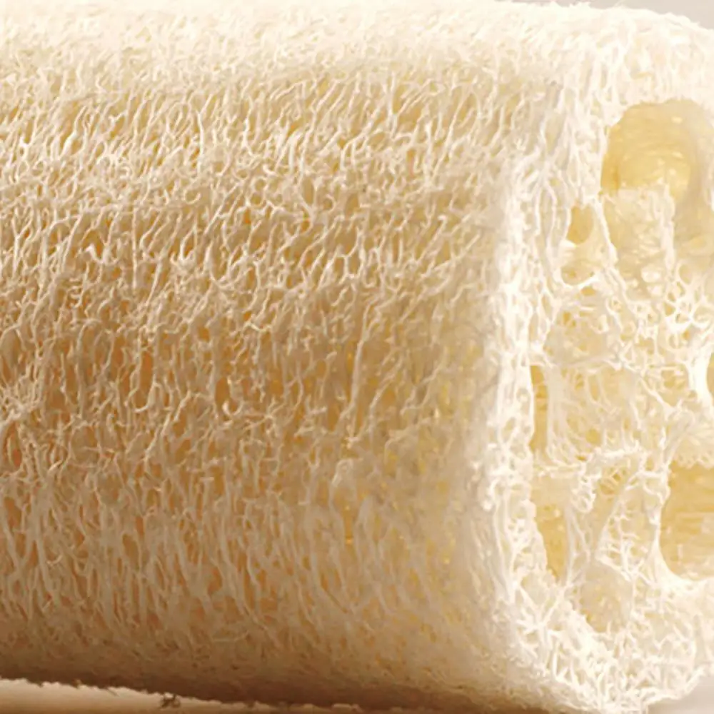 6Pcs Durable Natural Loofah Luffa Loofa Bath Body Shower Sponge Kitchen Cleaing Scrubber Tools Supplies Accessories Products
6Pcs Durable Natural Loofah Luffa Loofa Bath Body Shower Sponge Kitchen Cleaing Scrubber Tools Supplies Accessories Products