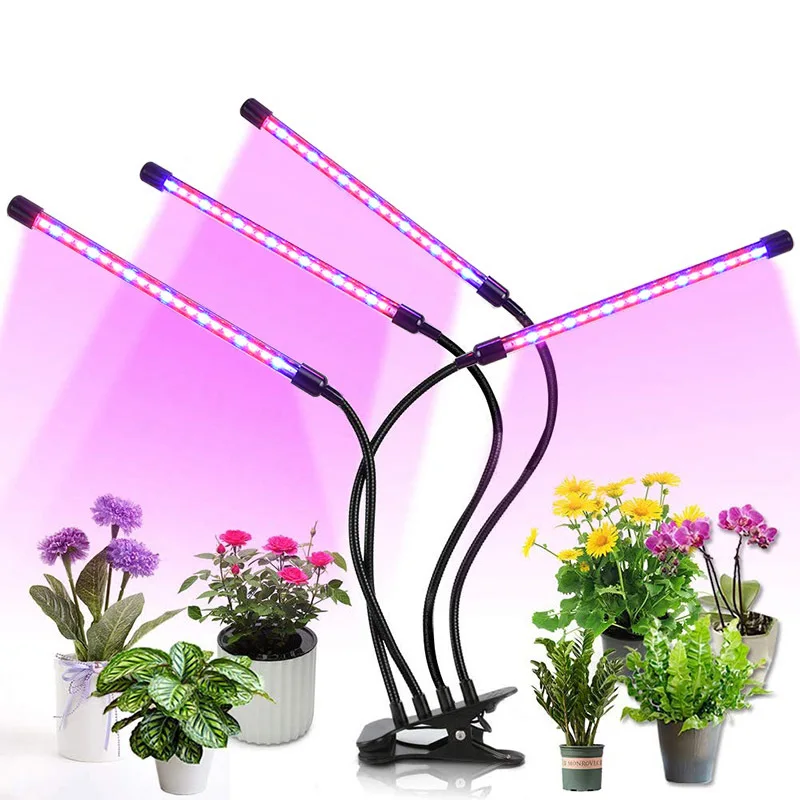 3 Timer Modes LED Grow Light USB Phyto Lamp Full Spectrum Grow Tent Complete Kit Phytolamp for Plants Seedlings Flowers Indoor
3 Timer Modes LED Grow Light USB Phyto Lamp Full Spectrum Grow Tent Complete Kit Phytolamp for Plants Seedlings Flowers Indoor