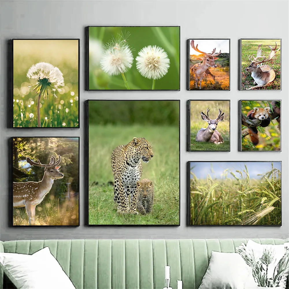 Dandelion Grass Plant Wall Art Poster Deer Leopard Squirrel Animals Canvas Painting Mountain Forest Scenery Art Print Home Decor
Dandelion Grass Plant Wall Art Poster Deer Leopard Squirrel Animals Canvas Painting Mountain Forest Scenery Art Print Home Decor