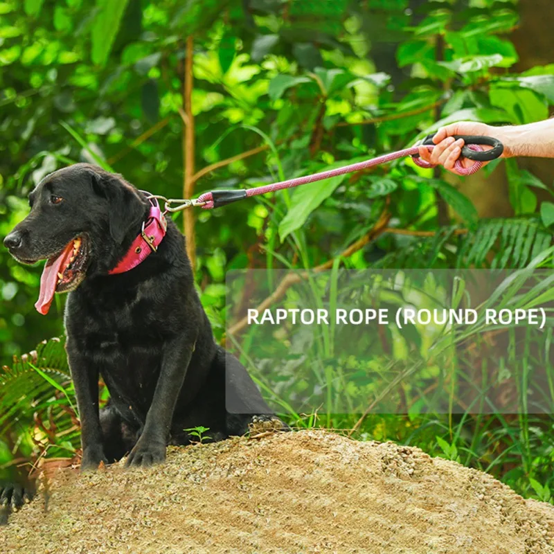 Dog Leash Running Walk for Large Small Cat Pets Leashes Dogs Leash With Padded Rope 4 colors For Small Medium Large Dogs 1.2M
Dog Leash Running Walk for Large Small Cat Pets Leashes Dogs Leash With Padded Rope 4 colors For Small Medium Large Dogs 1.2M