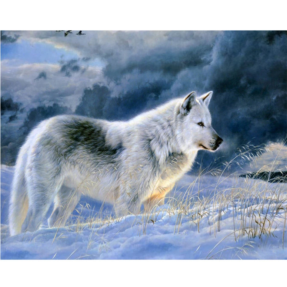 Набор для вышивки крестиком 11CT Snow Wolf, набор для рукоделия, холст с принтом, хлопчатобумажная нить, украшение для дома
Набор для вышивки крестиком 11CT Snow Wolf, набор для рукоделия, холст с принтом, хлопчатобумажная нить, украшение для дома