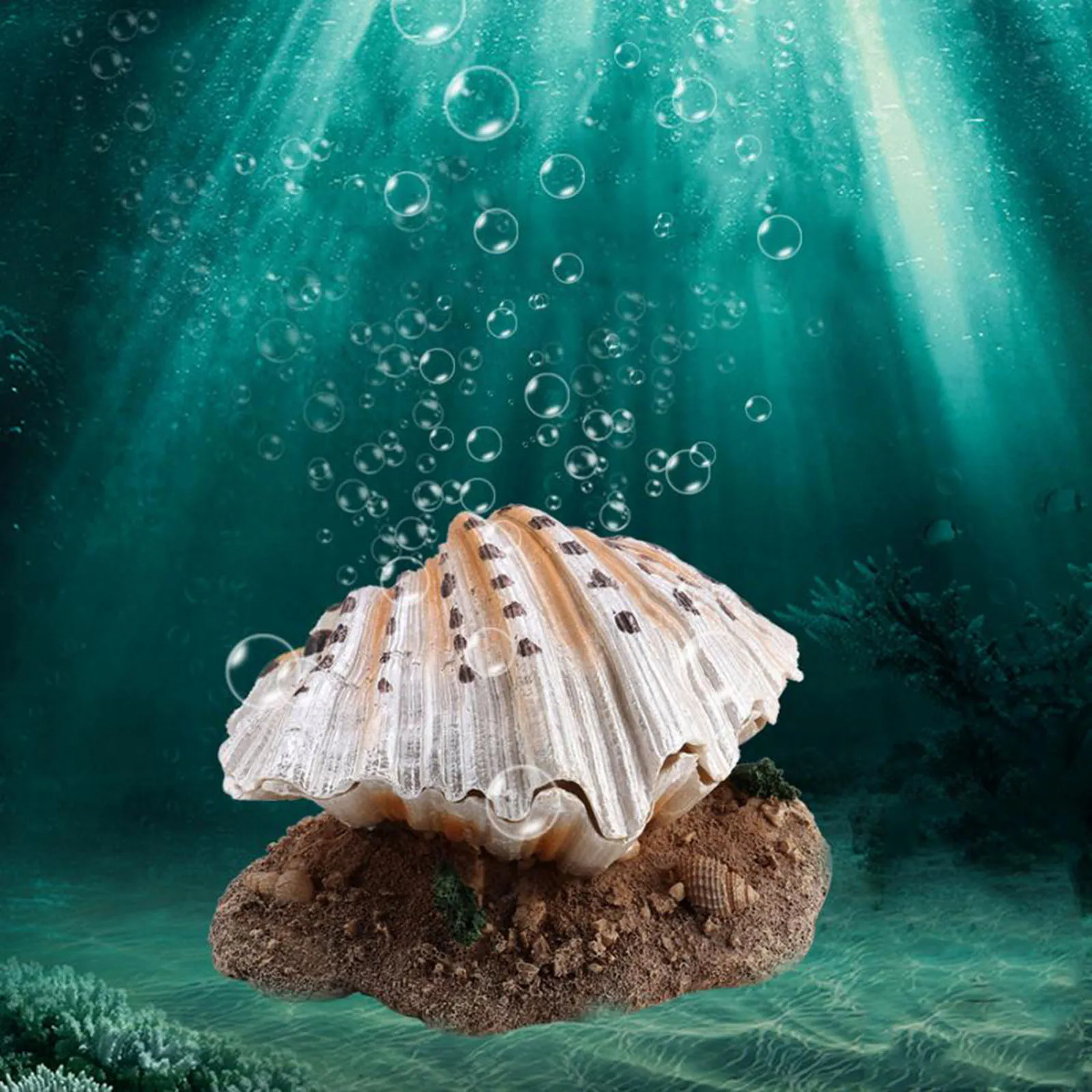 Resin Artificial Aquarium Shell Pearl Decoration Air Stone Air Bubble Stone Air Pump Decor Landscaping Supplies
Resin Artificial Aquarium Shell Pearl Decoration Air Stone Air Bubble Stone Air Pump Decor Landscaping Supplies