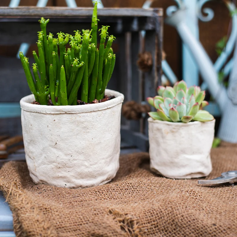 Classic Cement Cute Flower Pot Ornament Succulents Plants Flower Pot Balcony Decorations Doniczka Ozdobna Garden Pots
Classic Cement Cute Flower Pot Ornament Succulents Plants Flower Pot Balcony Decorations Doniczka Ozdobna Garden Pots
