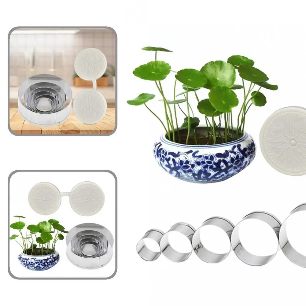 7Pcs/Set Premium Hydrocotyle Verticillata Petal Mould Cake Decorating Tools Lightweight Petal Mould Reusable for Bakery
7Pcs/Set Premium Hydrocotyle Verticillata Petal Mould Cake Decorating Tools Lightweight Petal Mould Reusable for Bakery