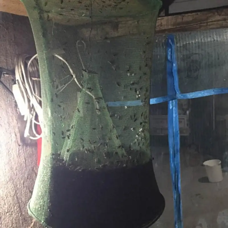 Reusable Hanging Flycatcher Folding Fly Trap Net Summer Mosquito Top Catcher Fly Wasp Insect Bug Killer Catcher Wholesale
Reusable Hanging Flycatcher Folding Fly Trap Net Summer Mosquito Top Catcher Fly Wasp Insect Bug Killer Catcher Wholesale