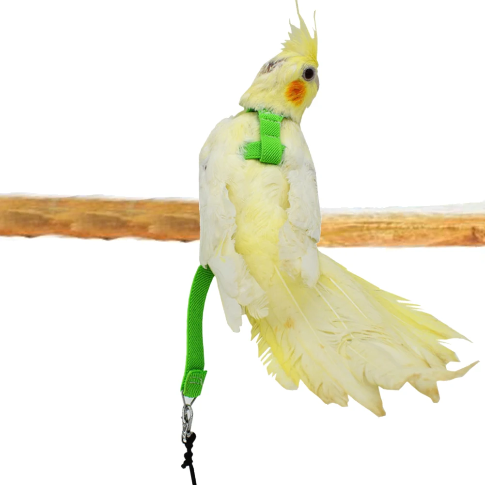 Parrot Bird Rope Parrot Bird Leash Adjustable Colorful Harness Training Rope Flying Cross Band Pet Stand Training Accessories
Parrot Bird Rope Parrot Bird Leash Adjustable Colorful Harness Training Rope Flying Cross Band Pet Stand Training Accessories