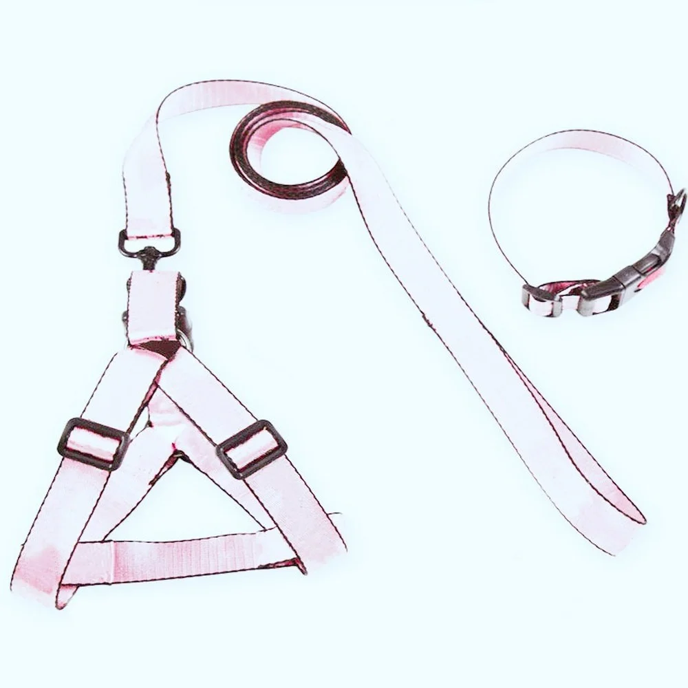 Dropshipping Nylon Dog Harness Leash Set Fashion Designer Collar Leashes Perro Chihuahua French Bulldog Accessories A202
Dropshipping Nylon Dog Harness Leash Set Fashion Designer Collar Leashes Perro Chihuahua French Bulldog Accessories A202