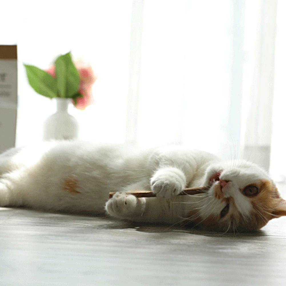 Cleaning Teeth Matatabi Actinidia Dental cat accessories Fruit Cats Chew Toys Silvervine Molar Toothpaste Snacks Wood Natural
Cleaning Teeth Matatabi Actinidia Dental cat accessories Fruit Cats Chew Toys Silvervine Molar Toothpaste Snacks Wood Natural