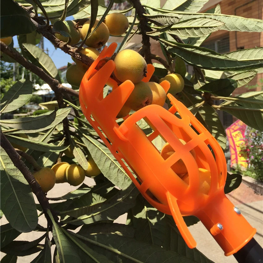 Garden Tools Fruit Picker Head PlasticFruit Picking Tools Fruits Catcher Picking Apple Citrus Pear Peach Hand Tools
Garden Tools Fruit Picker Head PlasticFruit Picking Tools Fruits Catcher Picking Apple Citrus Pear Peach Hand Tools