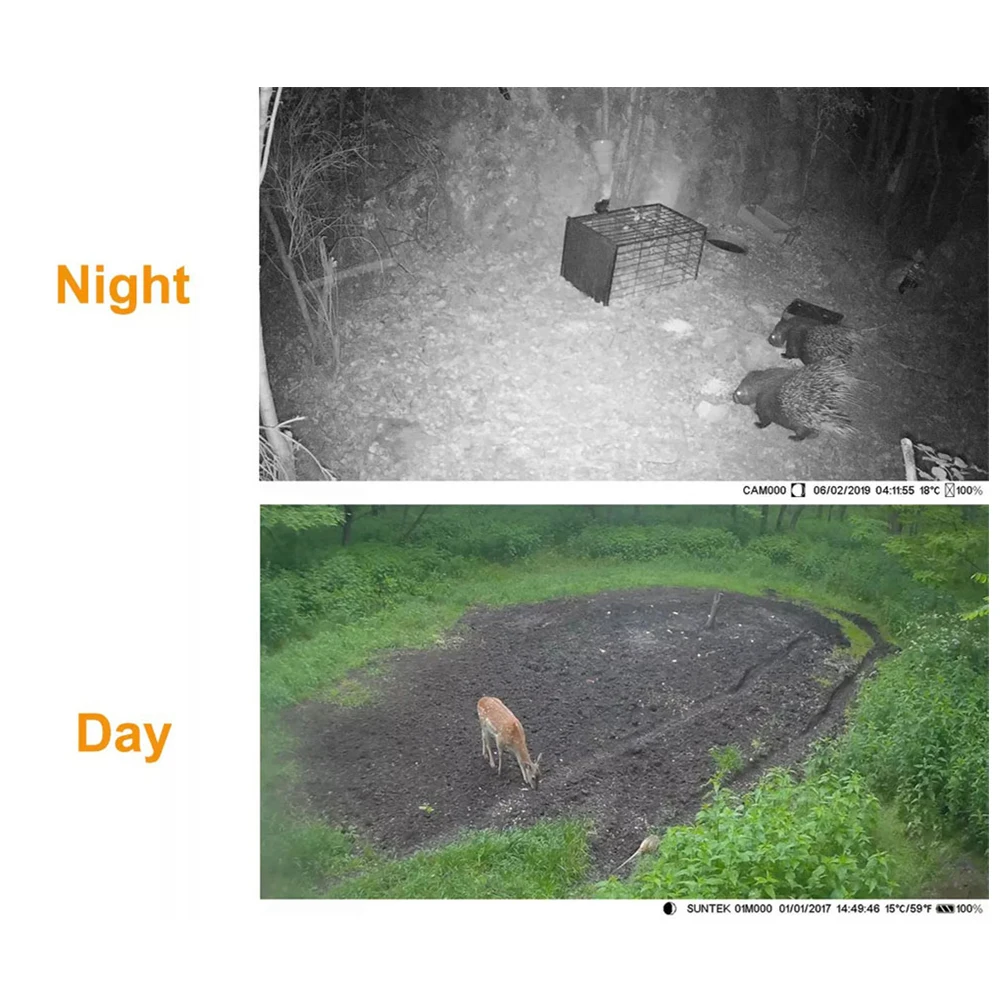 Trail Camera Night Vision Hunting Camera 4K 20MP Wide Angle Wildlife Camera Waterproof Motion Activated Surveillance Camera
Trail Camera Night Vision Hunting Camera 4K 20MP Wide Angle Wildlife Camera Waterproof Motion Activated Surveillance Camera