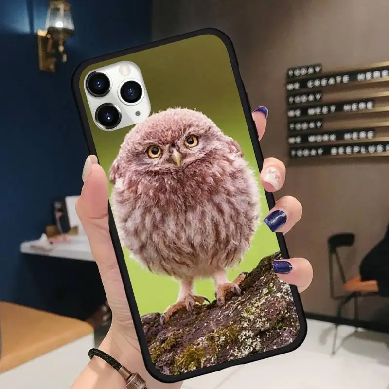 Cartoon owl funny animal Phone Cases for iPhone 11 12 pro XS MAX 8 7 6 6S Plus X 5S SE 2020 XR Soft silicone
Cartoon owl funny animal Phone Cases for iPhone 11 12 pro XS MAX 8 7 6 6S Plus X 5S SE 2020 XR Soft silicone