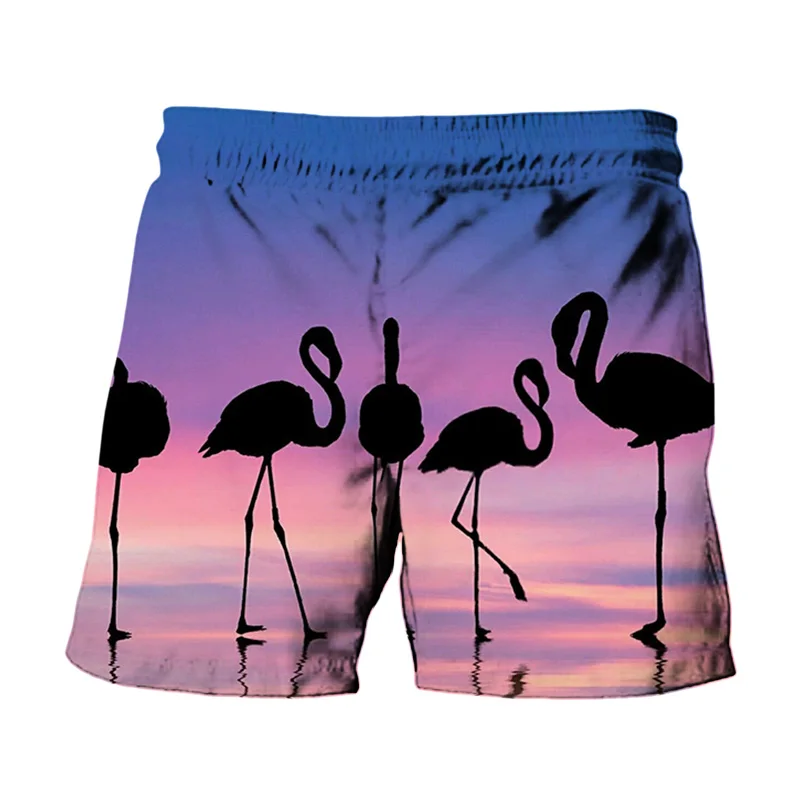 2021 Summer Hot Sale Men's 3D Printing Flamingo Couple Beach Shorts Quick-drying Men's Free Surfing Swimming Shorts S-6XL
2021 Summer Hot Sale Men's 3D Printing Flamingo Couple Beach Shorts Quick-drying Men's Free Surfing Swimming Shorts S-6XL