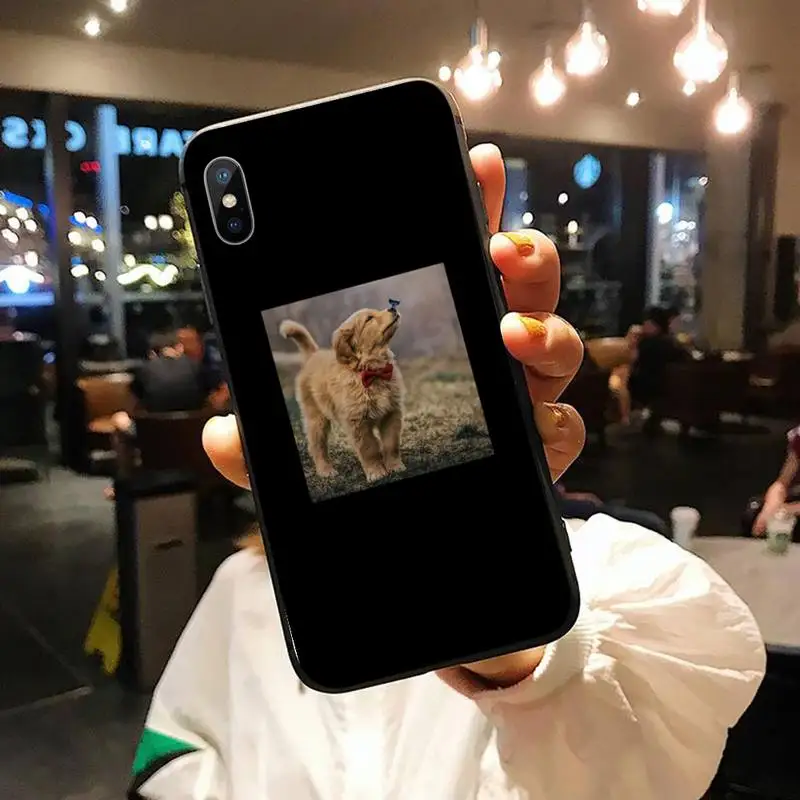 Cute dog cat bird funny animal high quality Phone Case coque for iPhone 11 12 pro XS MAX 8 7 6 6S Plus X 5S SE 2020 XR
Cute dog cat bird funny animal high quality Phone Case coque for iPhone 11 12 pro XS MAX 8 7 6 6S Plus X 5S SE 2020 XR