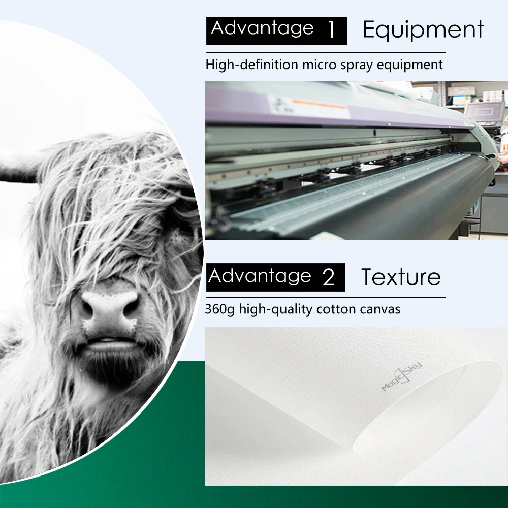 Nordic Black and White Highland Cow Yak Canvas Painting Posters Prints Modern Wall Art Image Pictures for Living Room Home Decor 
Nordic Black and White Highland Cow Yak Canvas Painting Posters Prints Modern Wall Art Image Pictures for Living Room Home Decor