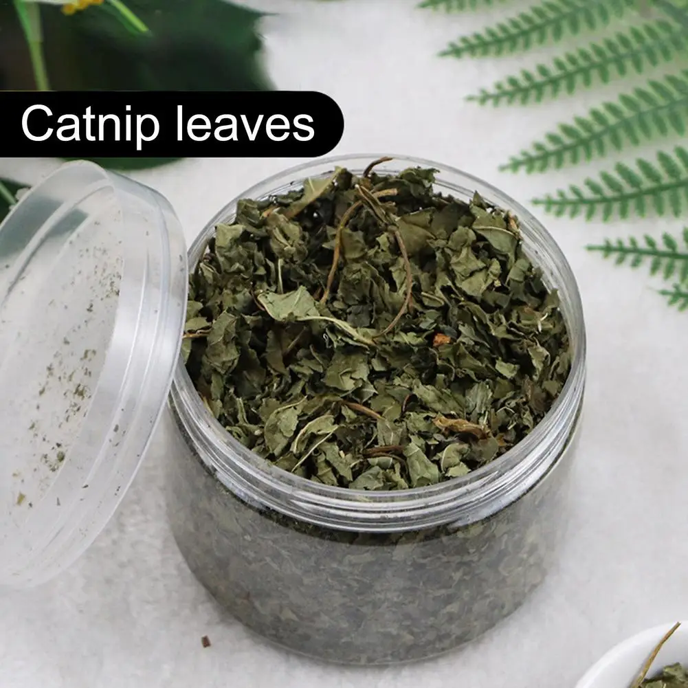 40g Cat Toy Catnip Organic 100% Natural Premium Catnip Cattle Grass Menthol Flavor Funny Cat Mint Toys Dropshipping
40g Cat Toy Catnip Organic 100% Natural Premium Catnip Cattle Grass Menthol Flavor Funny Cat Mint Toys Dropshipping