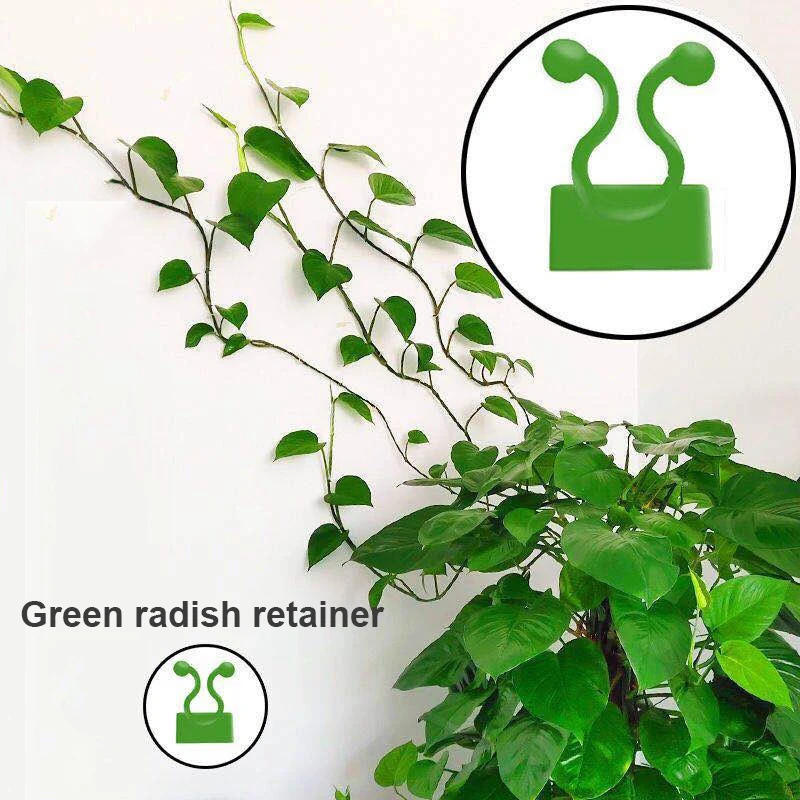 

Invisible Wall Rattan Clamp Clip Invisible Wall Vine Climbing Sticky Hook Rattan Fixed Clip Bracket Plant Stent Supports
