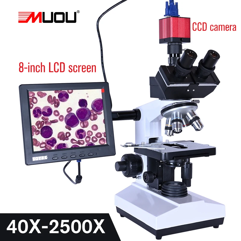 Professional Lab biological HD trinocular microscope zoom 2500X + USB HDMI VGA CVBS electronic digital CCD Camera + 8-inch LCD
Professional Lab biological HD trinocular microscope zoom 2500X + USB HDMI VGA CVBS electronic digital CCD Camera + 8-inch LCD