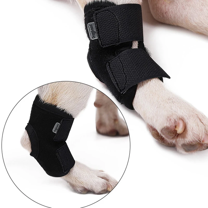 Dog Knee Pads Anti-licking Joint Fixation Recovery Auxiliary Banding Leggings Protective Cover
Dog Knee Pads Anti-licking Joint Fixation Recovery Auxiliary Banding Leggings Protective Cover
