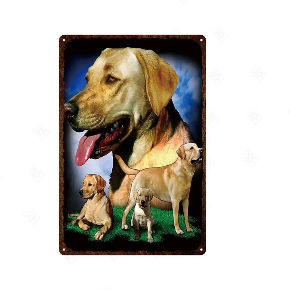 Cute Dog Plaques Sign for Pet Shop Propaganda Wall Art Poster Decoration Metal Sign Custom Made Tin Sign Aninal Dog
Cute Dog Plaques Sign for Pet Shop Propaganda Wall Art Poster Decoration Metal Sign Custom Made Tin Sign Aninal Dog