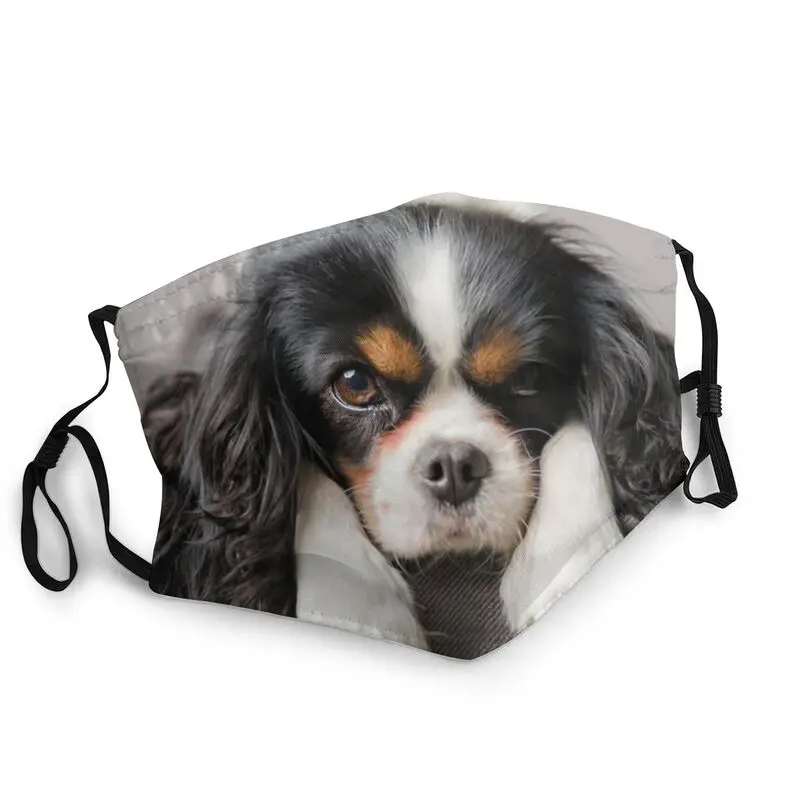 Reusable King Charles Spaniel Mask for Face English Springer Spaniel Gun Dog Men Women Anti Haze Dustproof Respirator Muffle
Reusable King Charles Spaniel Mask for Face English Springer Spaniel Gun Dog Men Women Anti Haze Dustproof Respirator Muffle