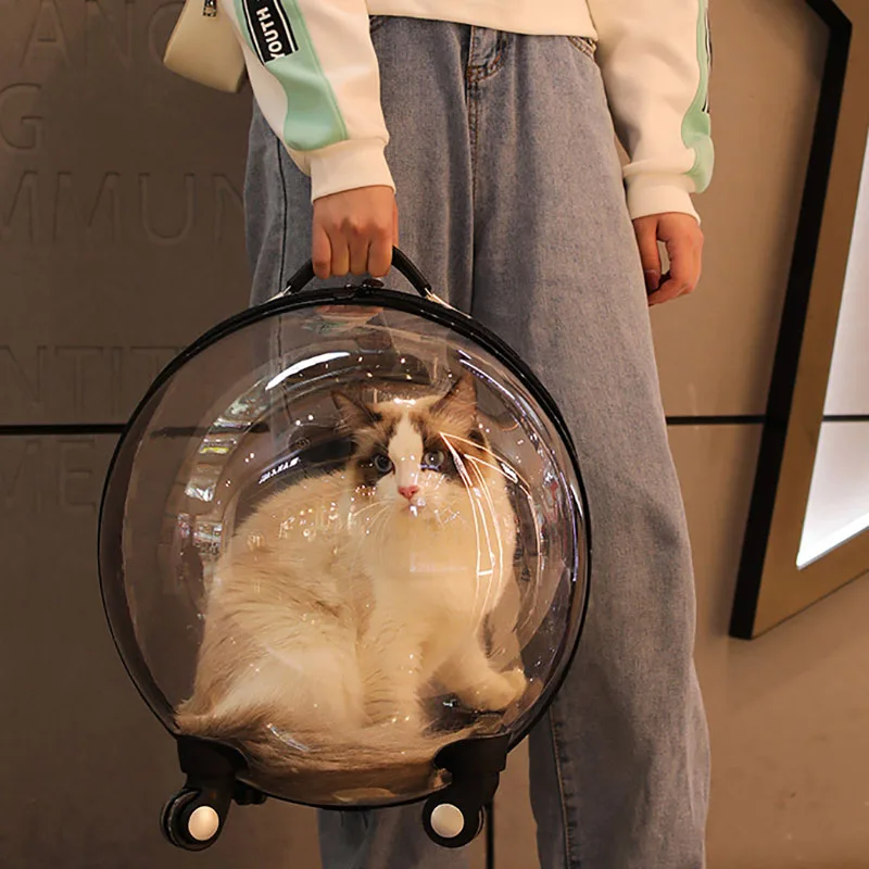 Pet Backpack Panoramic Transparent Breathable Dog And Cat Trolley Case Large Capacity Capsule Backpacks Pets Article
Pet Backpack Panoramic Transparent Breathable Dog And Cat Trolley Case Large Capacity Capsule Backpacks Pets Article