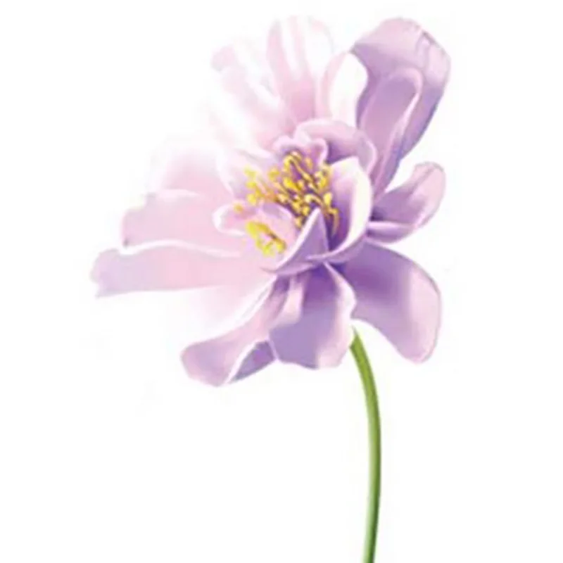 LBER Fashionable Pink Flowers Bedroom Living Room Sofa Background Decoration Removable Wall Stickers
LBER Fashionable Pink Flowers Bedroom Living Room Sofa Background Decoration Removable Wall Stickers