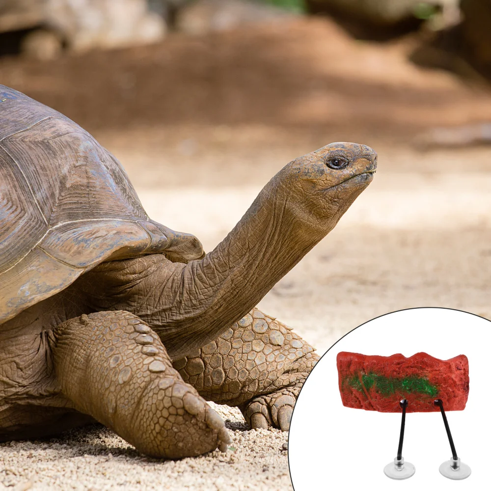 Turtle Platform Floating Bask Terrace Aquarium Float Decoration Pet Supply 
Turtle Platform Floating Bask Terrace Aquarium Float Decoration Pet Supply