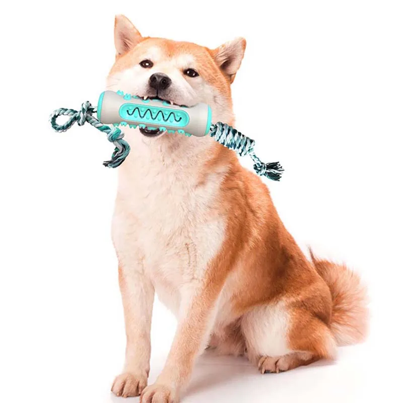 Puppy Chew Toy Dog Supply Accessories Pet Products Large Medium Small Dog Toys for Dogs Toothbrush Squeak Toys for Small Dogs
Puppy Chew Toy Dog Supply Accessories Pet Products Large Medium Small Dog Toys for Dogs Toothbrush Squeak Toys for Small Dogs