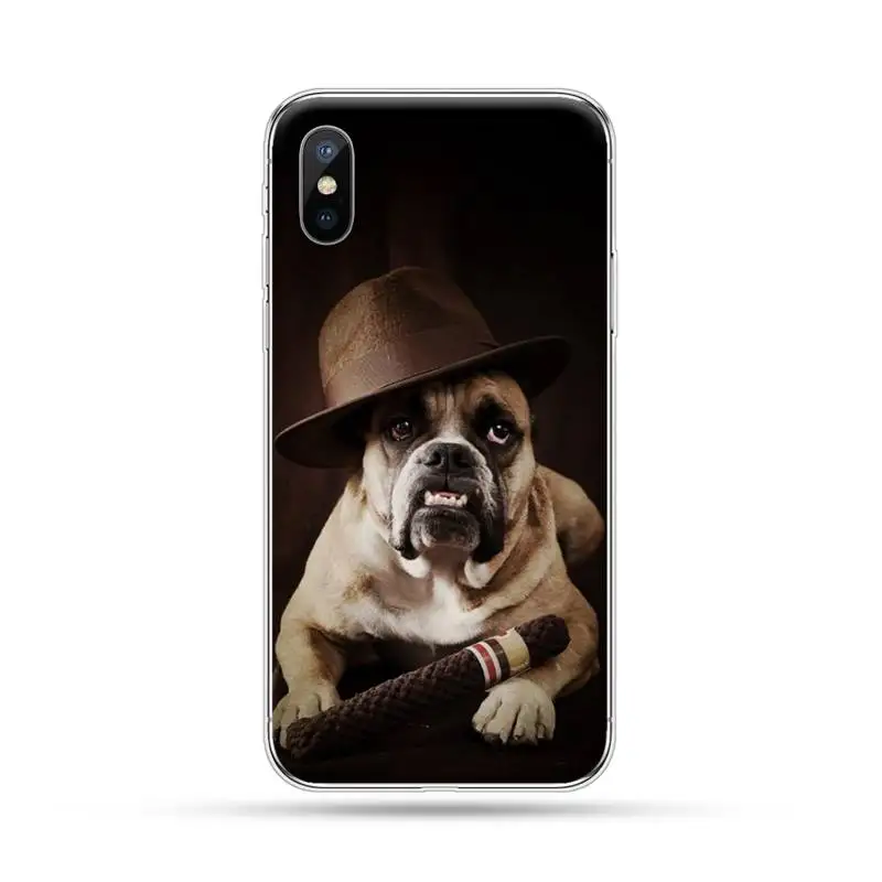 Cute french bulldog high quality Phone Case For iphone 12 mini 5 5s 5c se 6 6s 7 8 plus x xs xr 11 pro max 
Cute french bulldog high quality Phone Case For iphone 12 mini 5 5s 5c se 6 6s 7 8 plus x xs xr 11 pro max