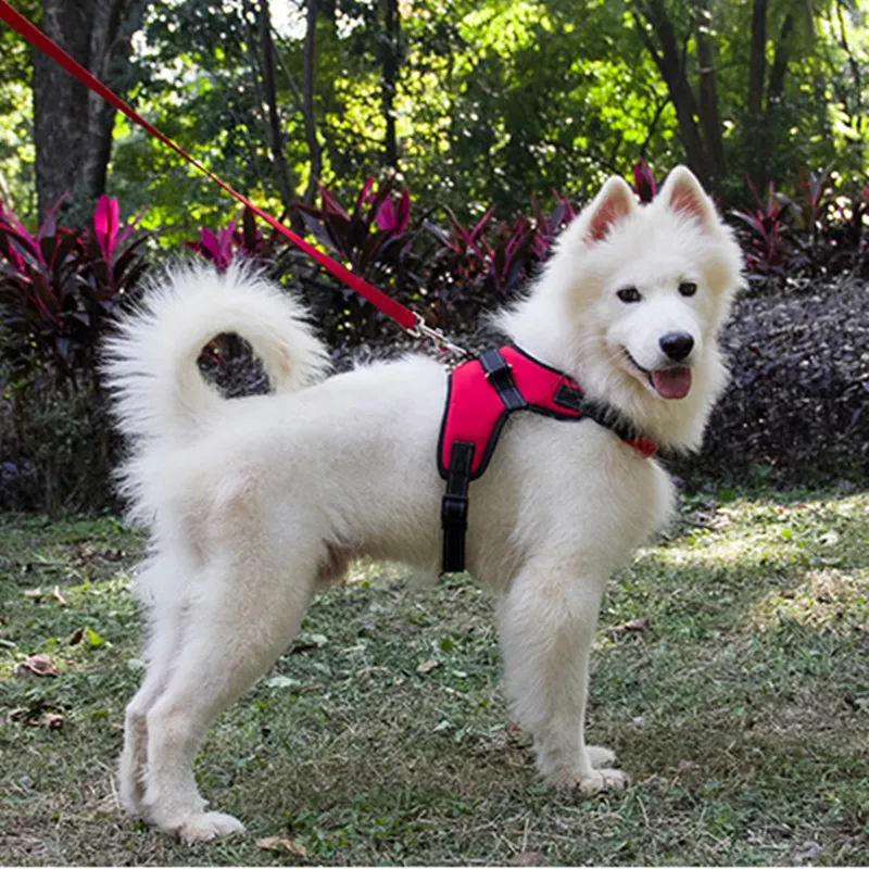 Dog Harness Vest Pet Doggy Sports Adjustable Traction Rope Small Medium Large Puppy Supplies Chien Outdoor Accessories Wholesale
Dog Harness Vest Pet Doggy Sports Adjustable Traction Rope Small Medium Large Puppy Supplies Chien Outdoor Accessories Wholesale