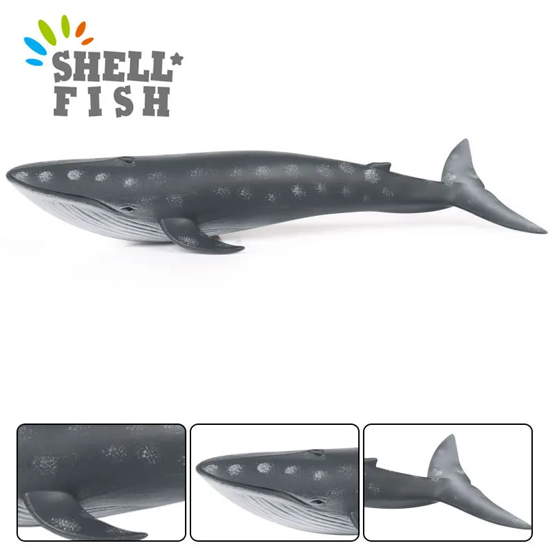 New Marine Animal Blue Whale Model Children's Cognitive Solid Simulation Hot Toy Action Figure PVC Hand-made Model Gift for Kid
New Marine Animal Blue Whale Model Children's Cognitive Solid Simulation Hot Toy Action Figure PVC Hand-made Model Gift for Kid