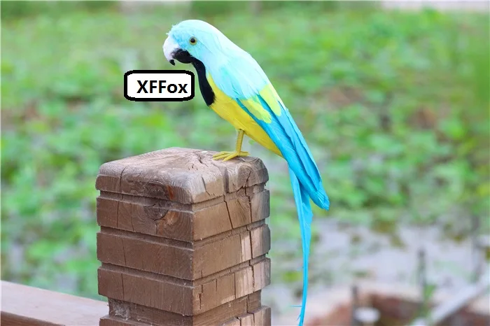 cute real life light blue&yellow parrot model foam&feather parrot bird gift about 30cm xf2603
cute real life light blue&yellow parrot model foam&feather parrot bird gift about 30cm xf2603