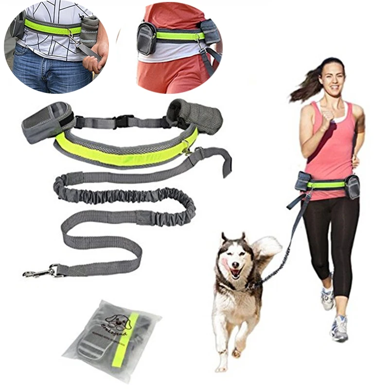 Pet Dog Cat Elastic Reflective Belt Running Jogging Leash Set Leash Collar Pet accessories Puppy Harness Walking Training
Pet Dog Cat Elastic Reflective Belt Running Jogging Leash Set Leash Collar Pet accessories Puppy Harness Walking Training