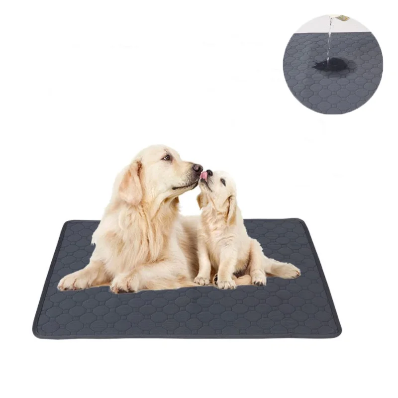 Absorbent Pet Changing Mats Non-slip Instant Dry Cat Training Washable and Reusable Pet Changing Mats Breathable Pet Mats
Absorbent Pet Changing Mats Non-slip Instant Dry Cat Training Washable and Reusable Pet Changing Mats Breathable Pet Mats