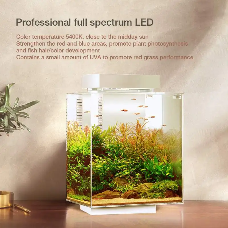 Smart Aquariums Fish Tank Small Fish Tank Living Room Desktop Creative Landscape Home Grass Tank Fish & Aquatic Pet Supplies
Smart Aquariums Fish Tank Small Fish Tank Living Room Desktop Creative Landscape Home Grass Tank Fish & Aquatic Pet Supplies