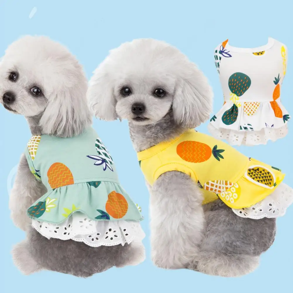 Comfortable Casual Pet Two-legged Vest Dress for Cat Pet Skirt Comfortable Casual Pet Two-legged Vest Dress for Cat
Comfortable Casual Pet Two-legged Vest Dress for Cat Pet Skirt Comfortable Casual Pet Two-legged Vest Dress for Cat